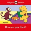 How are you, Spot? - Beginner