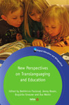 New perspectives on translanguaging and education
