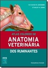 Atlas Colorido De Anatomia Veterinaria Dos Ruminantes