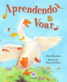 Aprendendo a voar