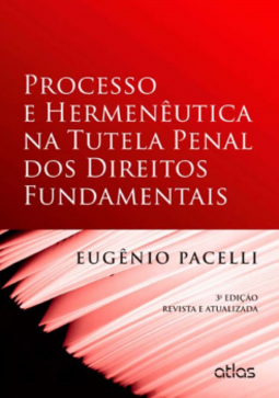 Processo e hermenêutica na tutela penal dos direitos fundamentais
