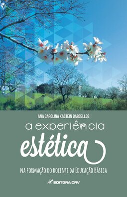 A experiência estética na formação do docente da educação básica