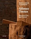 Afonso Tostes: entre a cidade e a natureza