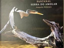 PANTANAL: SERRA DO AMOLAR