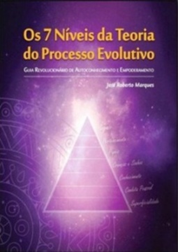 Os 7 Níveis da Teoria do Processo Evolutivo