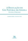 A regulação do gás natural em Angola: estudos e pareceres