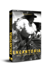 Encantoria: uma etnografia sobre pessoas e encantados em Codó (Maranhão)