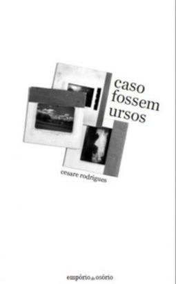 Caso Fossem Ursos