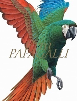 TERRA PAPAGALLI