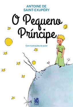 O pequeno príncipe