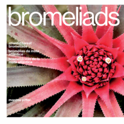 Bromélias da Mata Atlântica