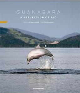 Guanabara a reflection of rio