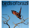 Birds of Brazil / Aves do Brasil