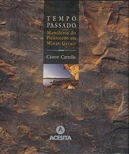 TEMPO PASSADO
