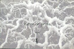 Rumor de pétala