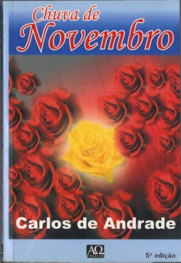 CHUVA DE NOVEMBRO