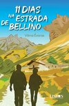 11 dias na estrada de Bellino