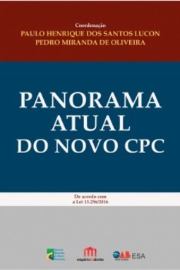 Panorama atual do novo CPC