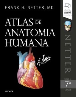 Netter - Atlas de anatomia humana
