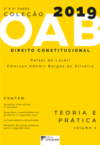 Direito constitucional: teoria e prática