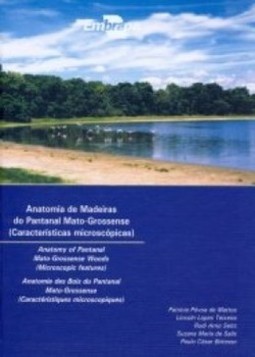Anatomia de madeiras do Pantanal matogrossense