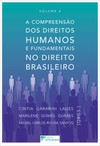 A compreensão dos direitos humanos e fundamentais no direito brasileiro