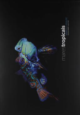 Mares Tropicais