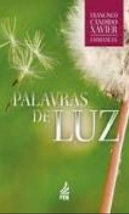 Palavras de luz