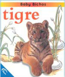 Tigre