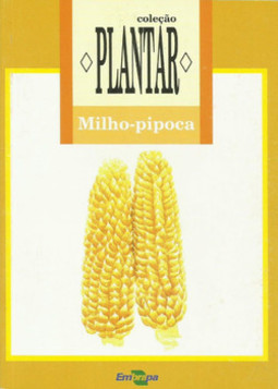 Milho-pipoca