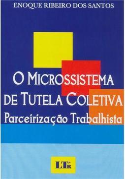 O Microssistema de Tutela Coletiva