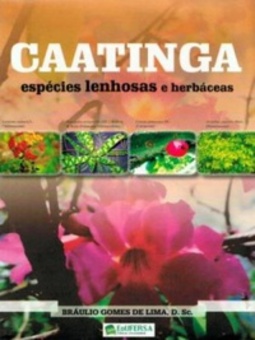 Caatinga