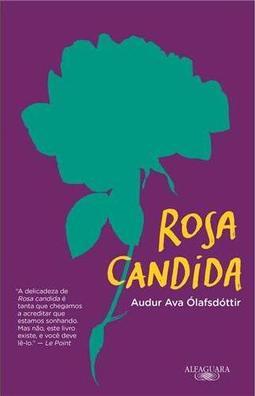 Rosa Candida
