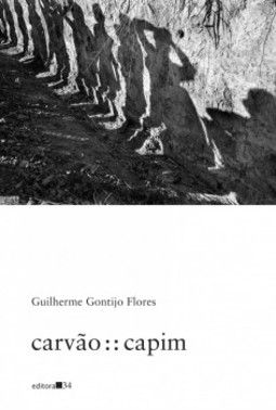 carvão : : capim
