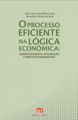 O processo eficiente na lógica econômica: Desenvolvimento, aceleração e direitos fundamentais