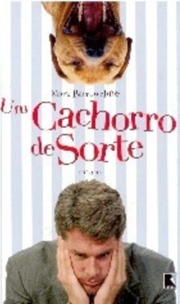 Um Cachorro De Sorte