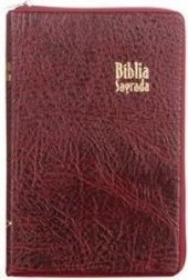 Bíblia Sagrada: Letra Gigante com Zíper e Índice - Cinza