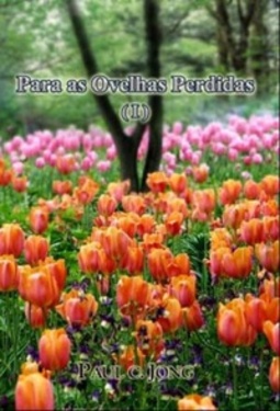 Para as ovelhas perdidas I (38 #1)