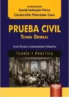 Prueba Civil - Teoría General - Teoría y Práctica