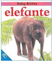 Elefante