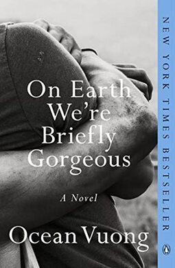 On Earth We're Briefly Gorgeous: A Novel