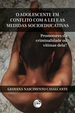 O adolescente em conflito com a lei e as medidas socioeducativas: promotores da criminalidade ou vítimas dela?