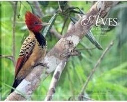 Aves do Cerrado