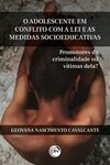 O adolescente em conflito com a lei e as medidas socioeducativas: promotores da criminalidade ou vítimas dela?