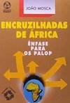 Encruzilhadas de África: Ênfase para os Palop - Importado - vol. 2