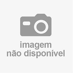 Musica E Sua Relacao Com O Ser Humano, A