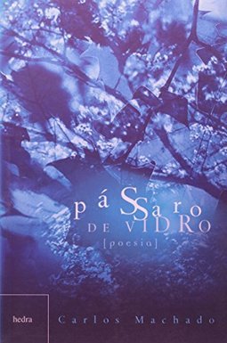 Pássaro de Vidro