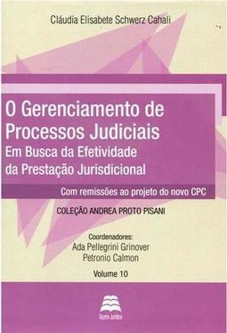 O Gerenciamento de Processos Judiciais