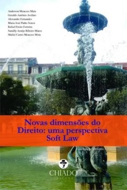 Novas dimensões do direito: uma perspectiva soft law