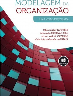 Modelagem da Organização